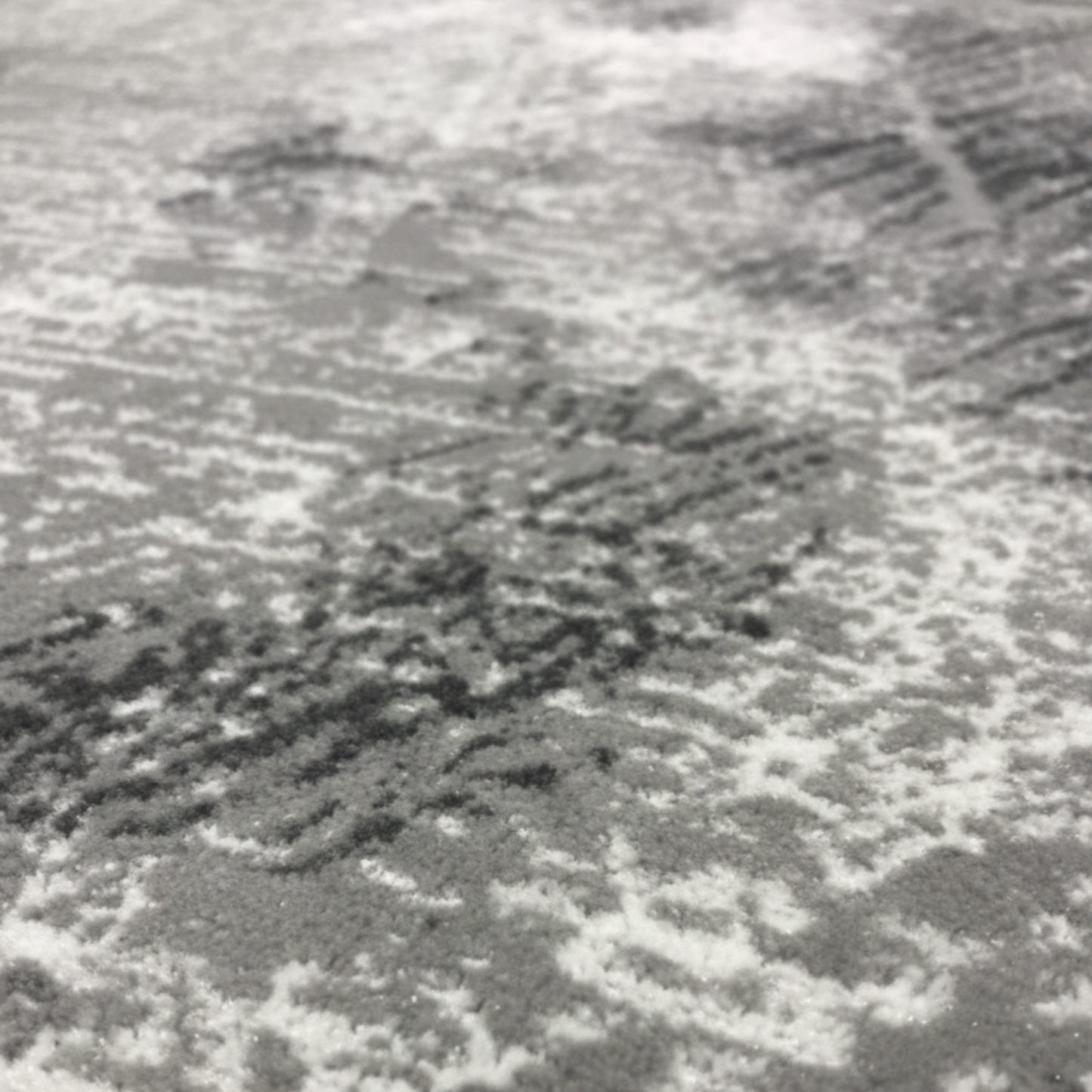 Barey Grey | Roza carpet